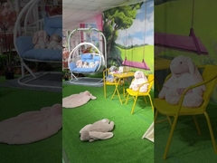 La mascotte del cotone dei pp ha farcito giocattoli molle 31 x 39cm di Dinasour dei giocattoli i grande